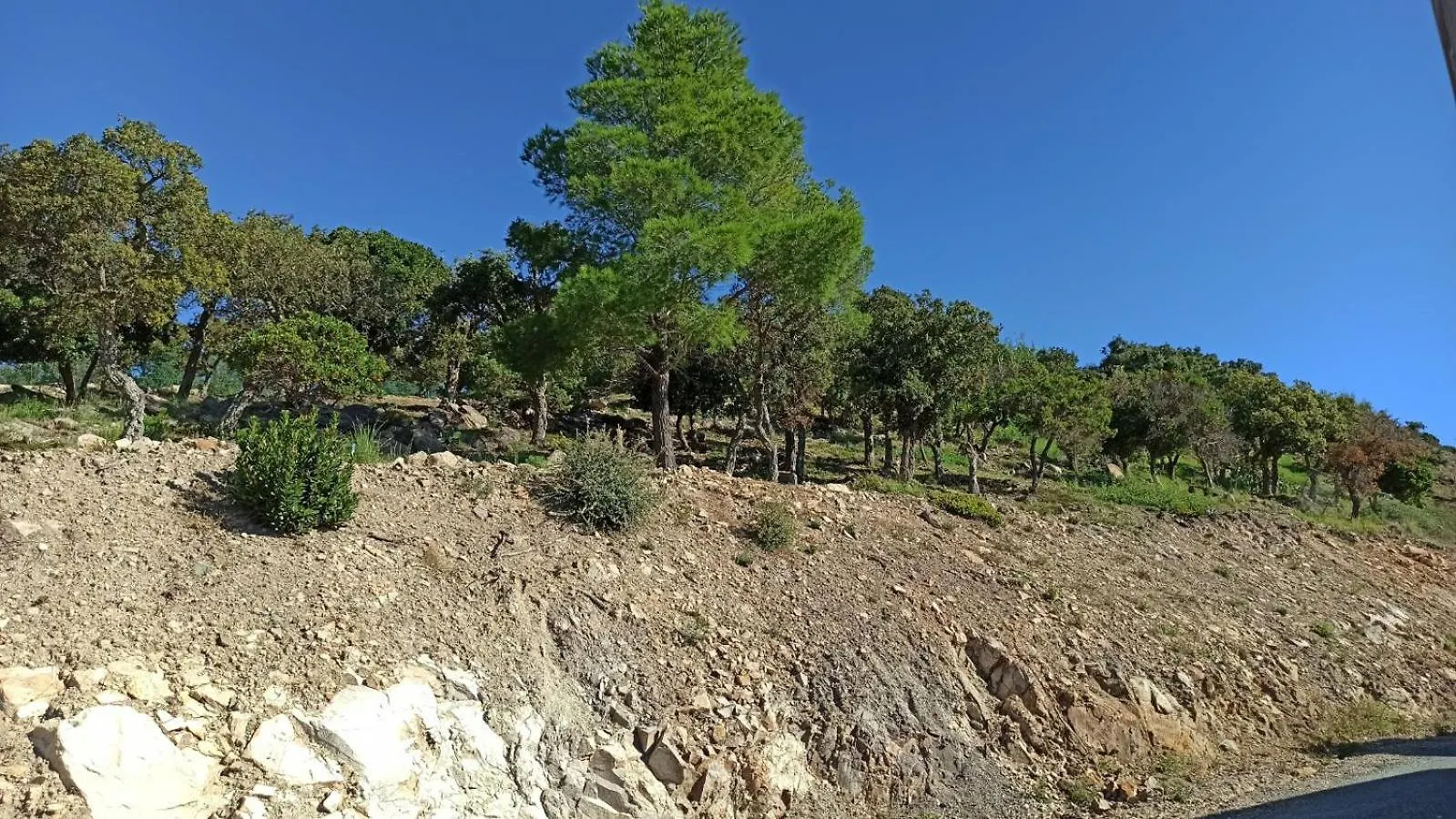 Sea View Amazing Hotel Saint-Raphael  Campsite Saint-Raphael (Var)