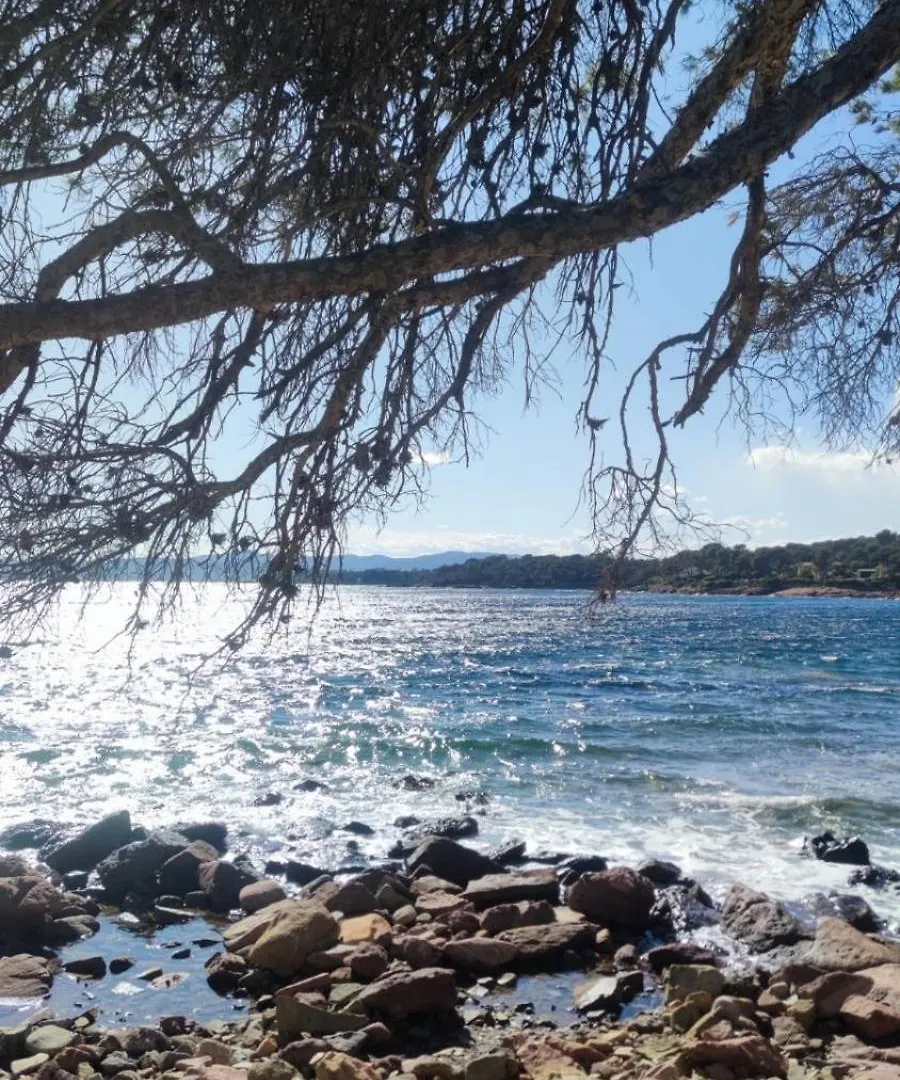 Campsite Sea View Amazing Hotel Saint-Raphael